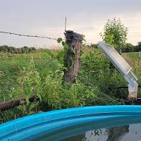 A view of a remote monitoring setup, with a camera affixed to a fence post and solar panels powering the pump for the watering tank