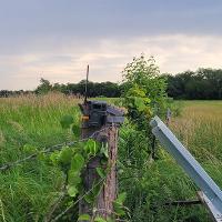 A remote monitoring camera, secured to a fence post near a livestock watering tank.