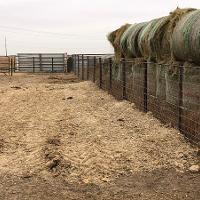 A windbreak constructed of bales