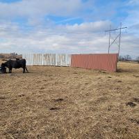 A windbreak and an insulated waterer