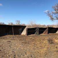 An example of a winter shelter for livestock