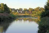 A Kansas pond surrounded by trees.