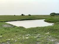 A view of a Kansas pond, surrounded by green grassland and small hills.