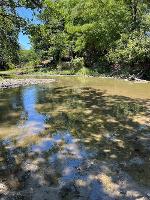 A view of Big Creek (low water)