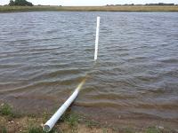 The intake line, a length of pvc pipe, is shown here sitting at the edge of the pond.