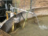 Water pumped from a private well is used in a livestock watering tank.