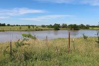 A pond that has been fenced around its perimeter, as well as through water itself to limit livestock access.