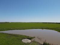 A series of footage from drone camera, showing an aerial vantage point of a farm pond with limited access for cattle. 