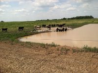 a wide view of a limited access ramp in a farm pond