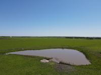 A series of footage from drone camera, showing an aerial vantage point of a farm pond with limited access for cattle. 