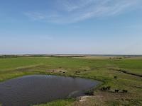 A series of footage from drone camera, showing an aerial vantage point of a farm pond with limited access for cattle. 