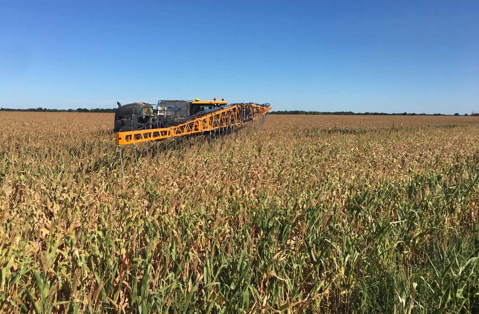 Interseeder plants cover crops in a field of dry plants