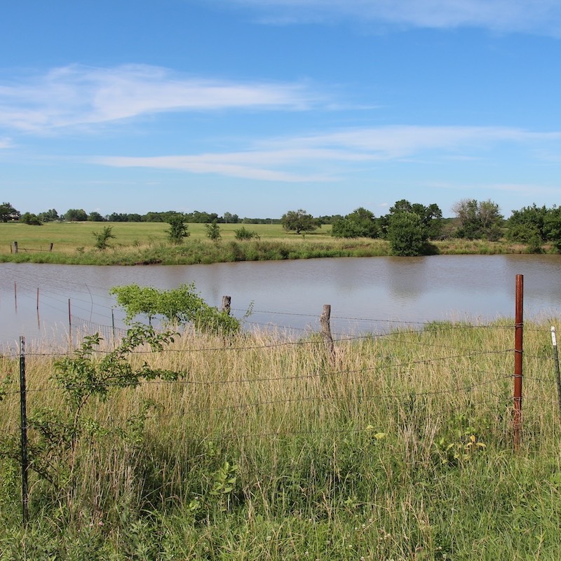 A pond surrounded by green grass and trees. The pond is surrounded by a barbed-wire fence, which also extends through the water of the pond.