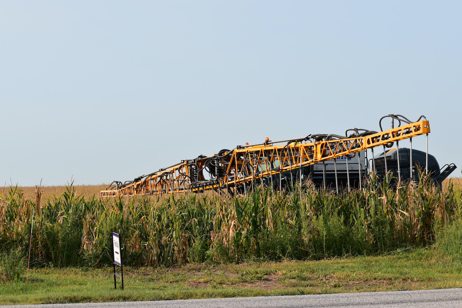 A large interseeder drives through a corn field at the Flickner Farm