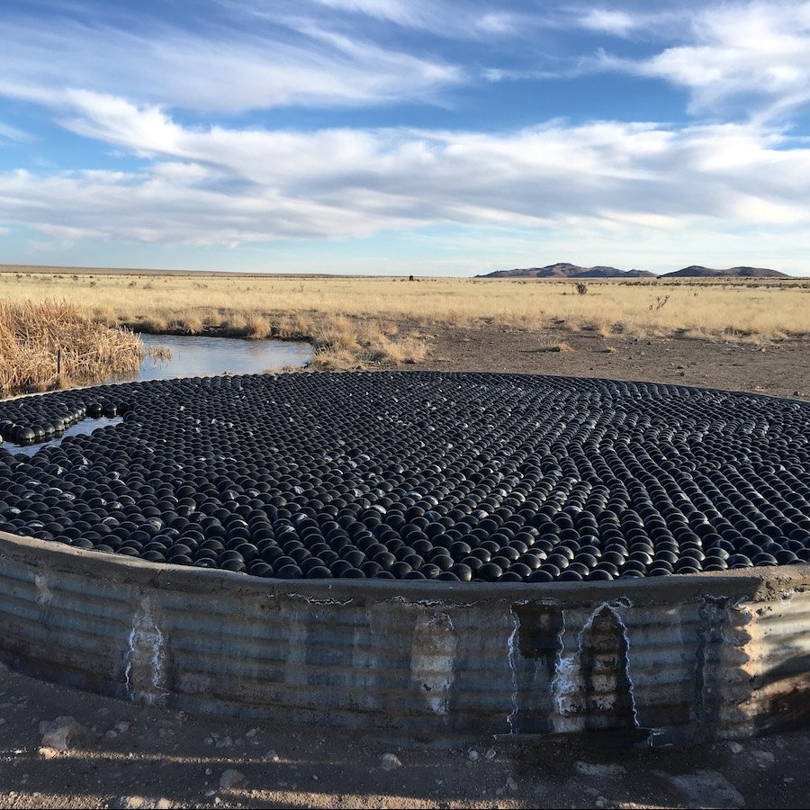 A large metal tank sits in the middle of a wide-open pasture. The tank is filled with water, and the surface of the water is completely covered in small black balls that float
