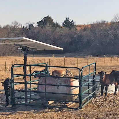 Black cattle stand around a metal watering tank fed by a tank and pump enclosed by a fence with thick green bars. A large solar panel sits on a pole above the tank
