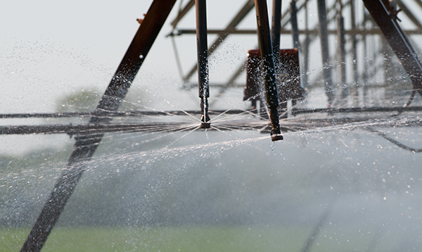 close up view of irrigation nozzle spraying water