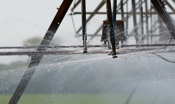 Irrigation Technologies close up view of irrigation nozzle spraying water