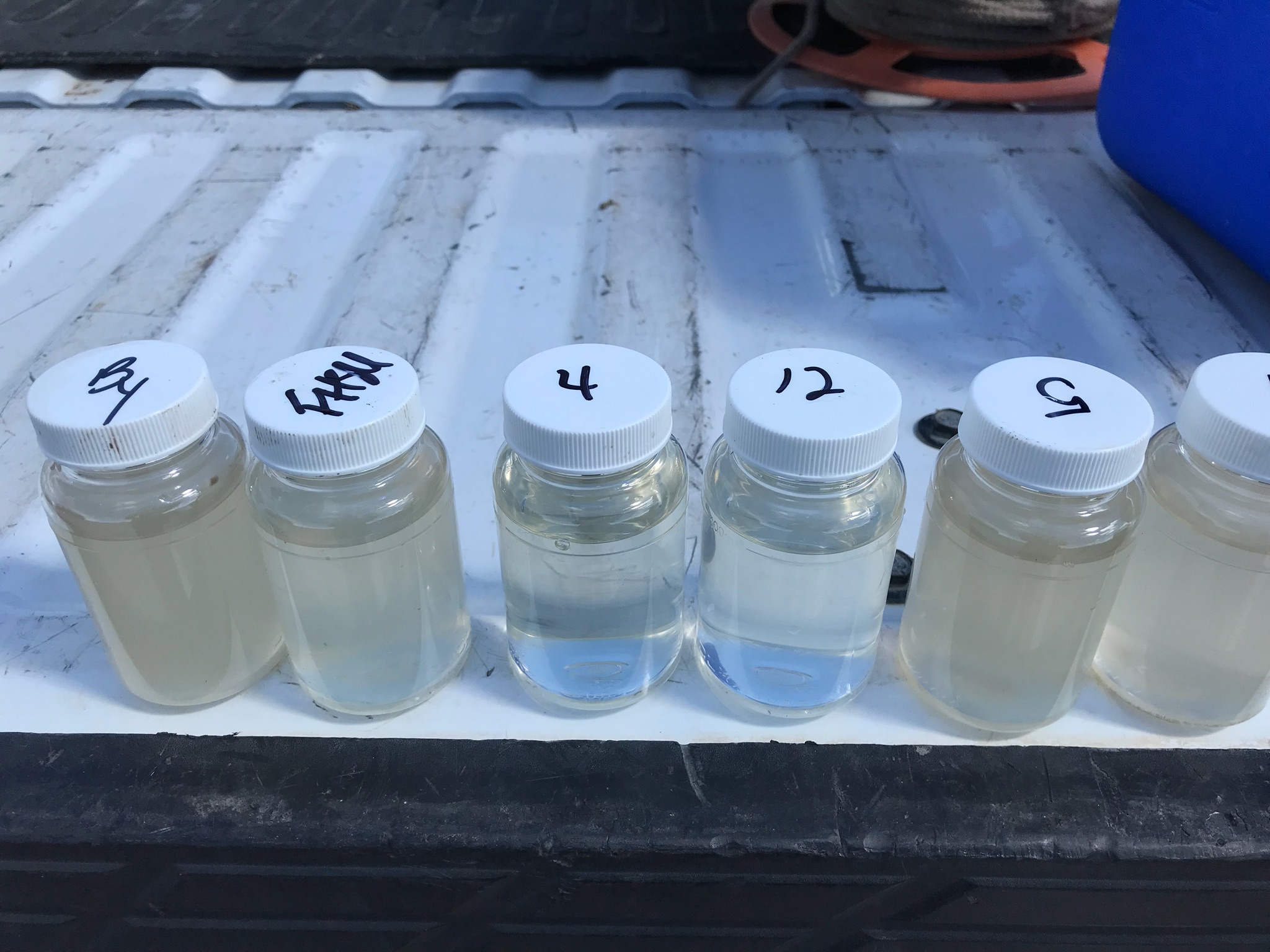 water samples lined up