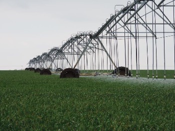 irrigation sprayers